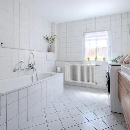 Ochsen 3*